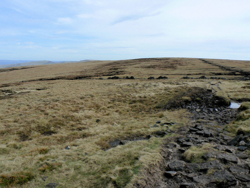 Brown Knoll Brown Knoll
